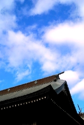 R0030510.JPG